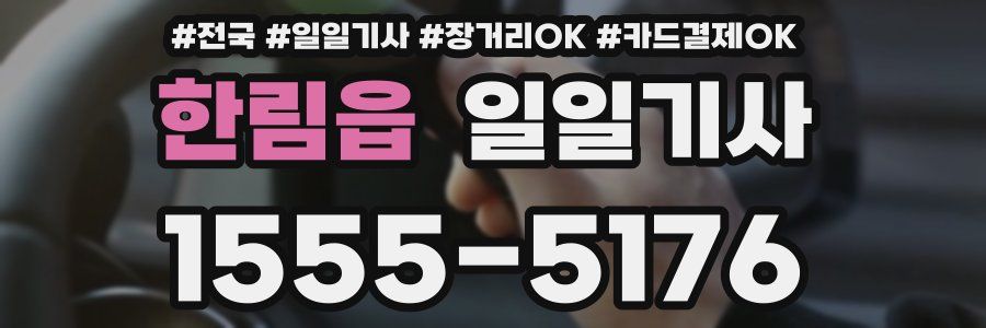 한림읍 일일기사