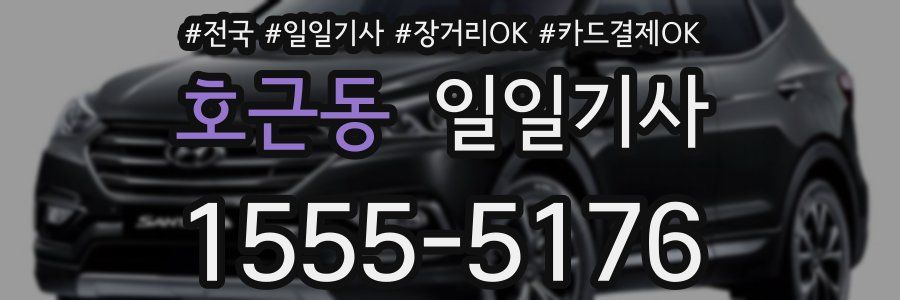 호근동 일일기사