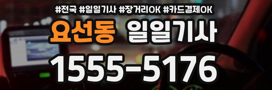 요선동 일일기사