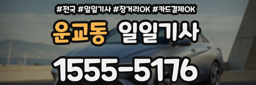 운교동 일일기사