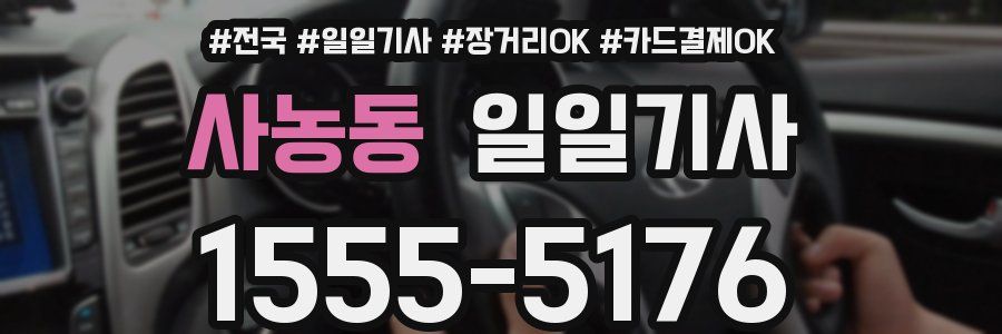 사농동 일일기사