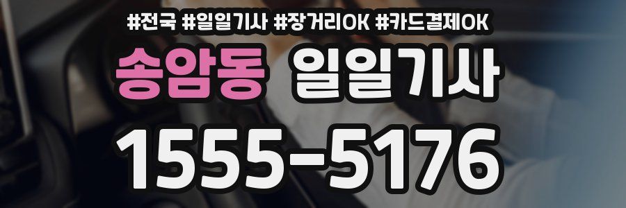 송암동 일일기사