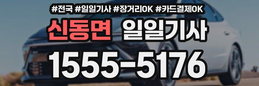 신동면 일일기사