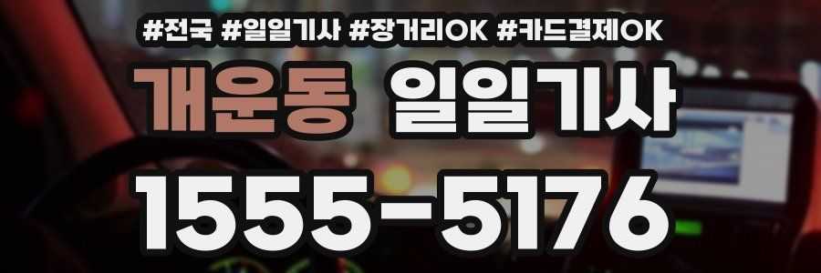 개운동 일일기사