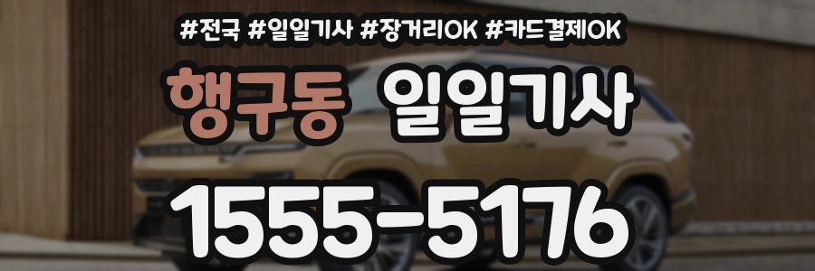 행구동 일일기사