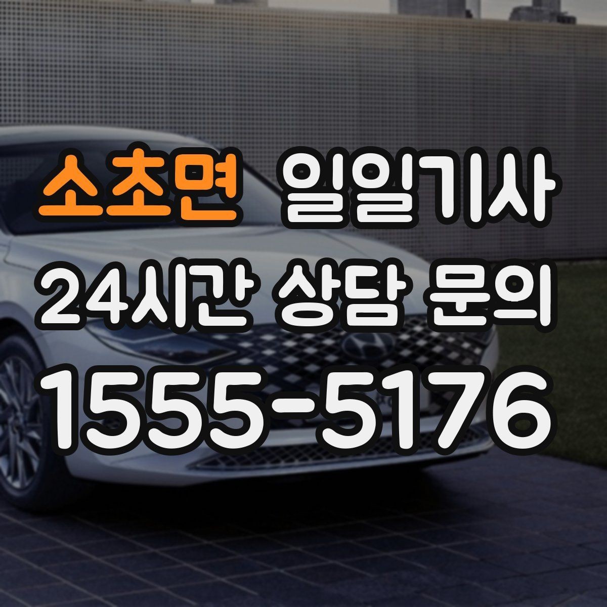 소초면 일일기사 환승 없는 이동이 주는 편안함