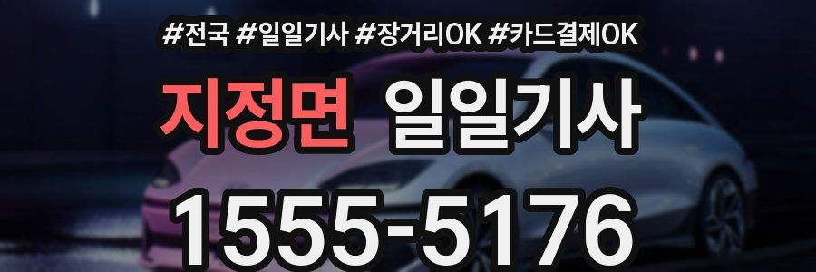 지정면 일일기사