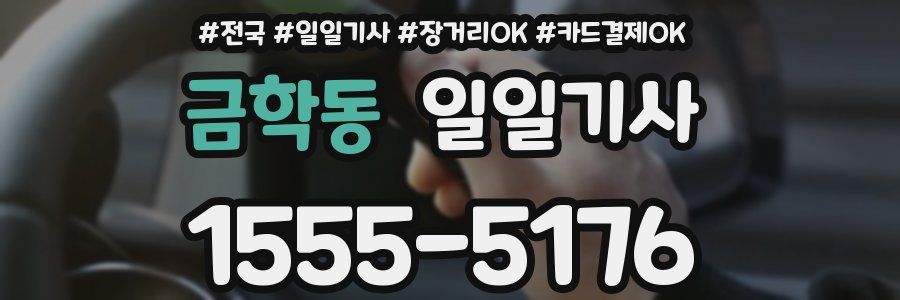 금학동 일일기사