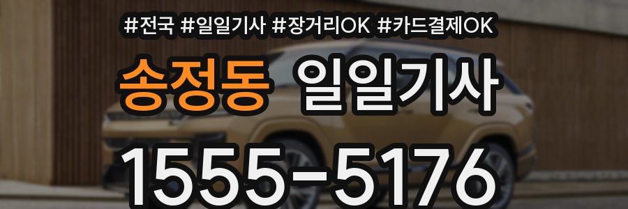 송정동 일일기사