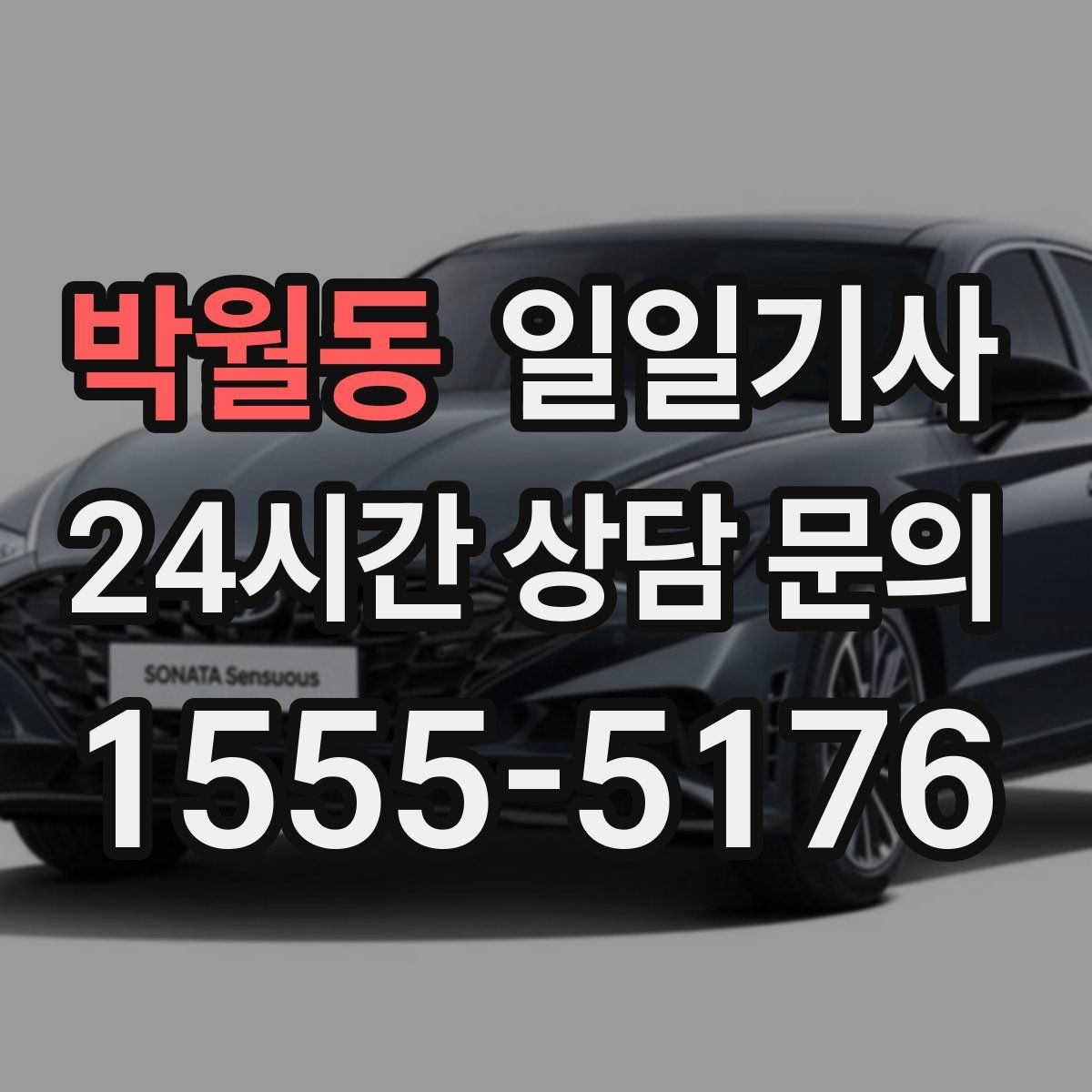 박월동 일일기사 공항 픽업과 미팅을 잇는 하루