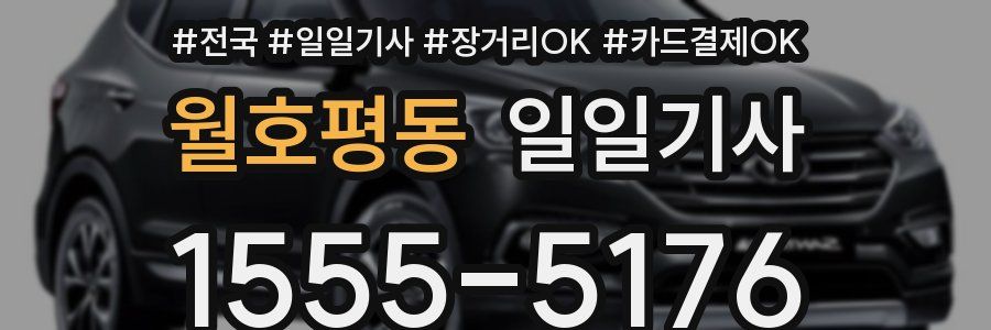 월호평동 일일기사