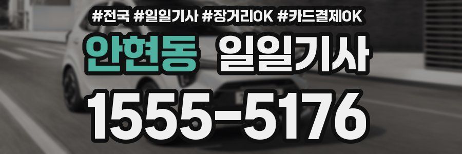 안현동 일일기사