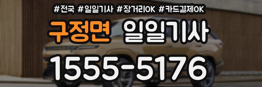 구정면 일일기사