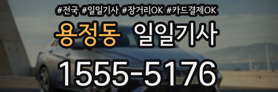 용정동 일일기사