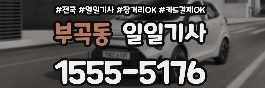 부곡동 일일기사