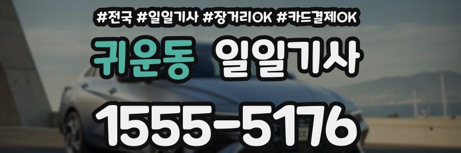 귀운동 일일기사