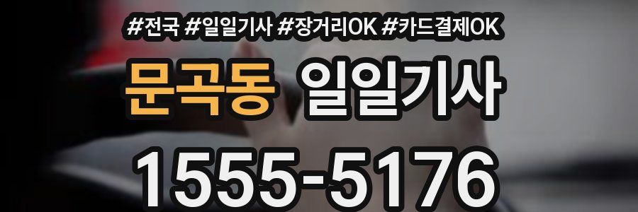 문곡동 일일기사