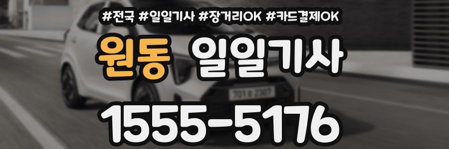 원동 일일기사