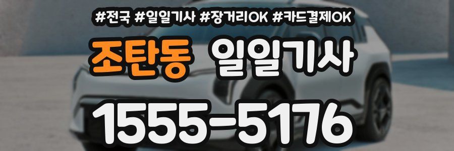 조탄동 일일기사