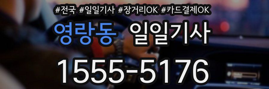 영랑동 일일기사