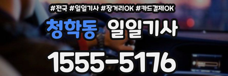 청학동 일일기사