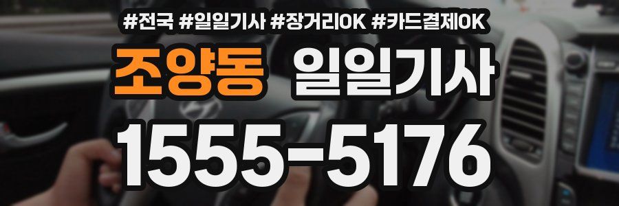 조양동 일일기사