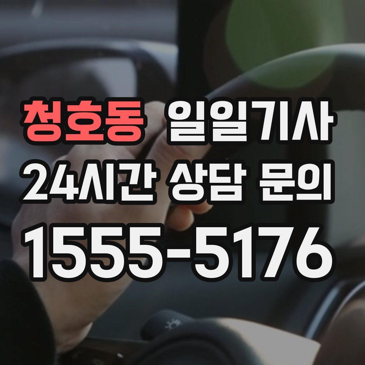 청호동 일일기사 쾌적한 실내로 장거리도 편안합니다