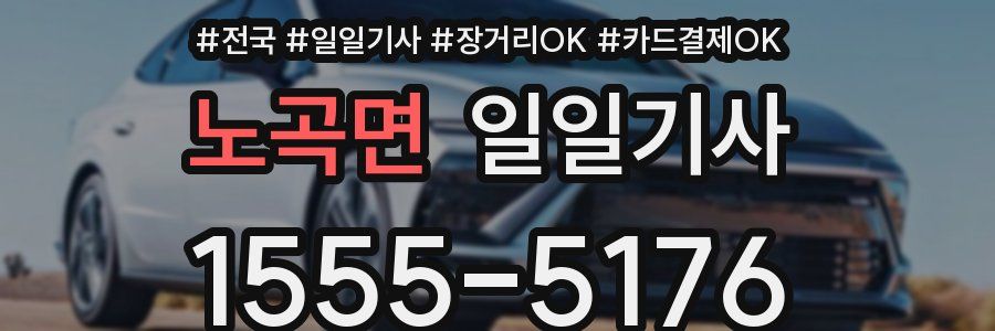 노곡면 일일기사