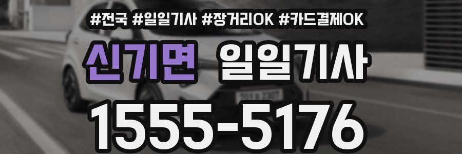 신기면 일일기사