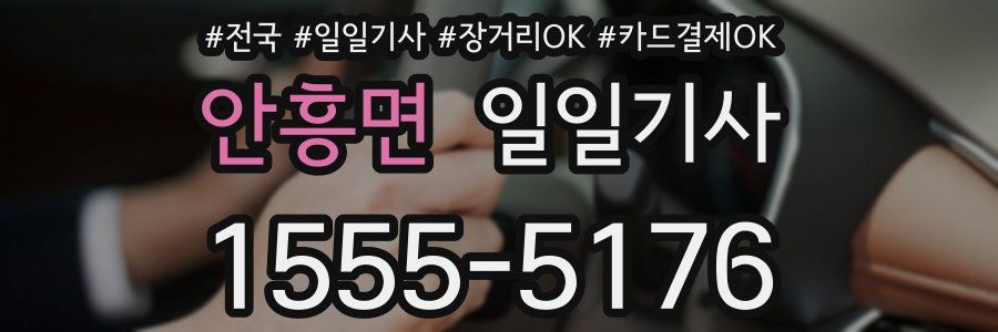 안흥면 일일기사