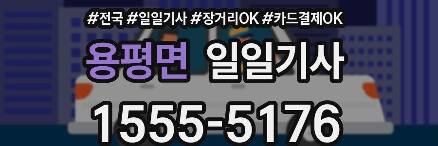 용평면 일일기사