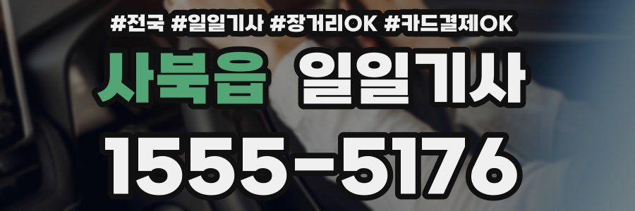 사북읍 일일기사