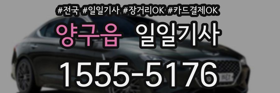 양구읍 일일기사