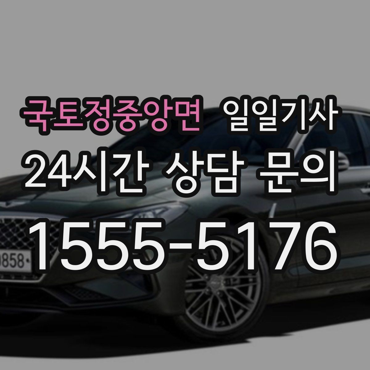 국토정중앙면 일일기사 골프 라운드 전후 이동을 책임