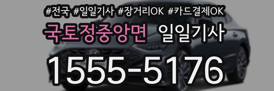 국토정중앙면 일일기사