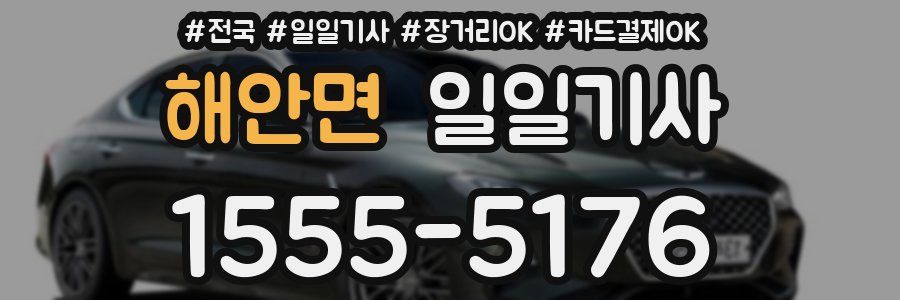 해안면 일일기사