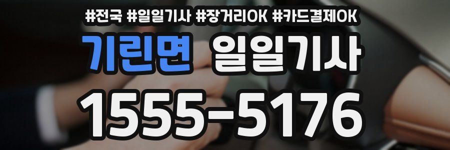 기린면 일일기사