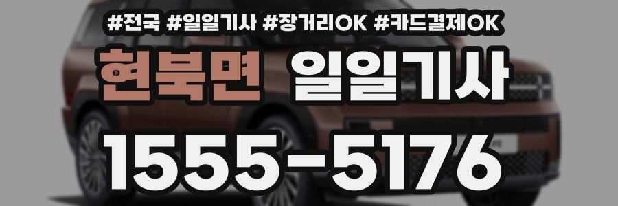 현북면 일일기사