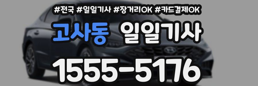고사동 일일기사