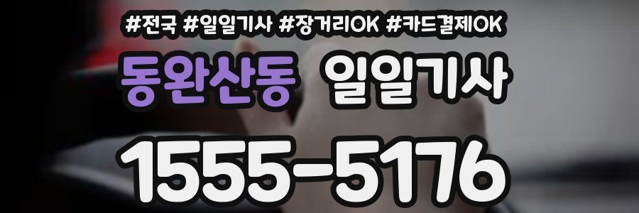 동완산동 일일기사