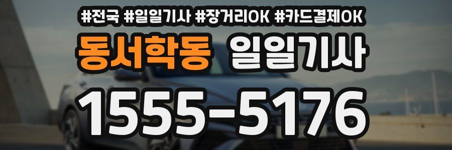 동서학동 일일기사