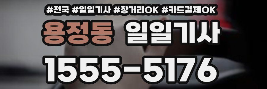 용정동 일일기사