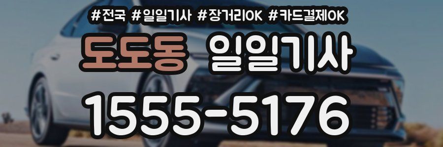 도도동 일일기사