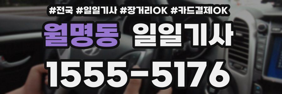 월명동 일일기사