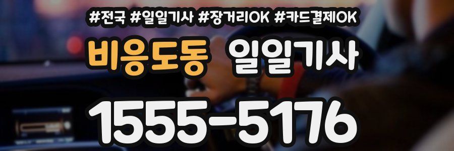 비응도동 일일기사