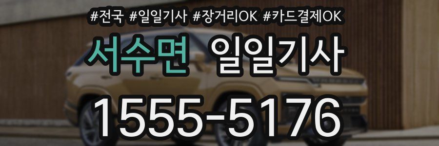 서수면 일일기사