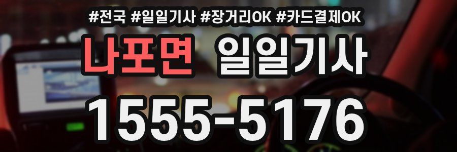 나포면 일일기사