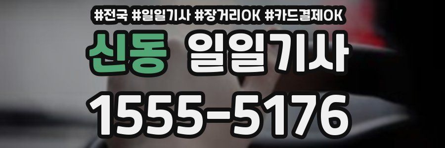 신동 일일기사