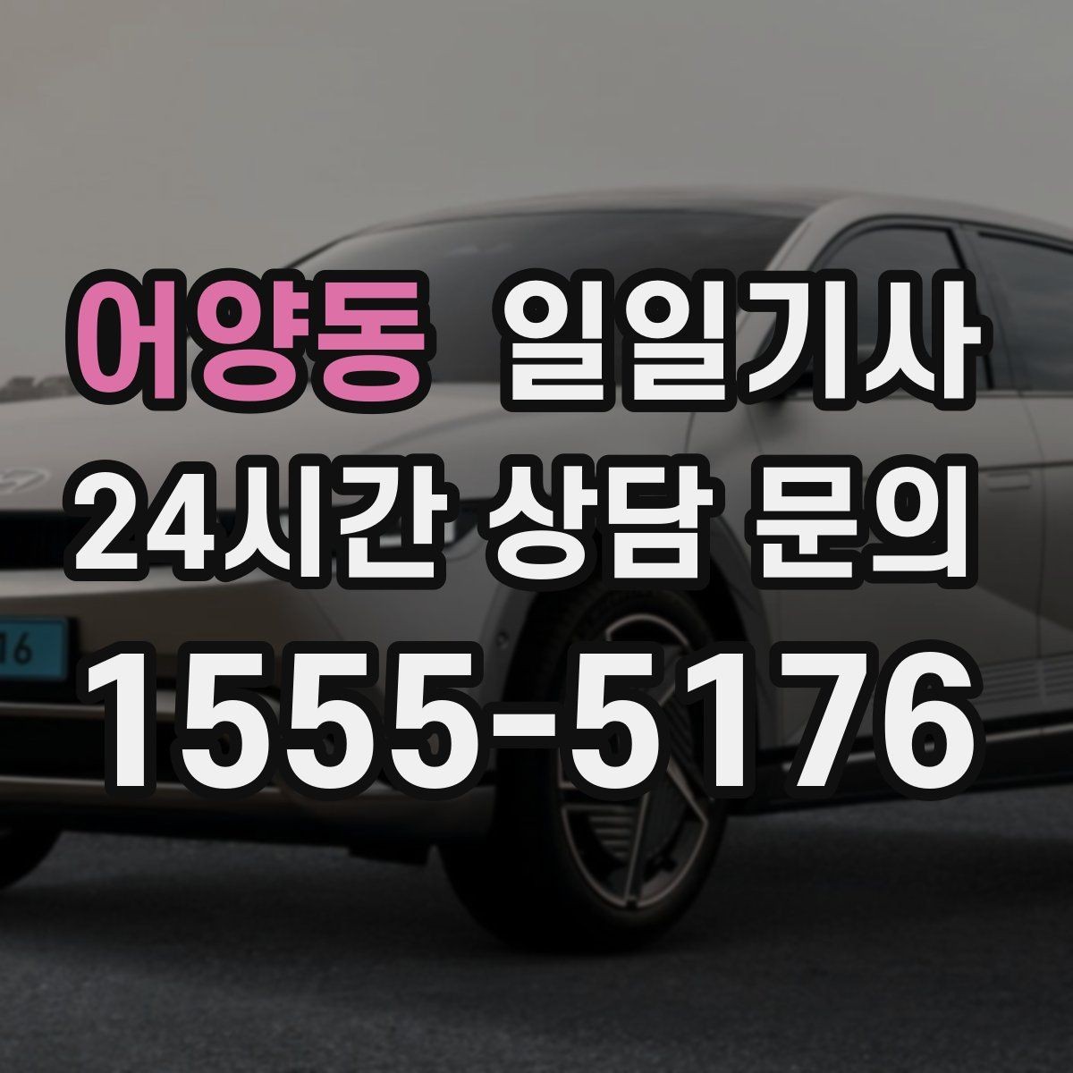 어양동 일일기사 전시장 차량 이동도 매끈한 하루