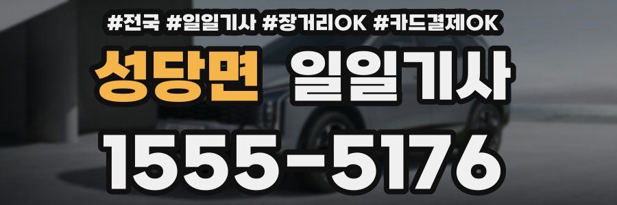 성당면 일일기사